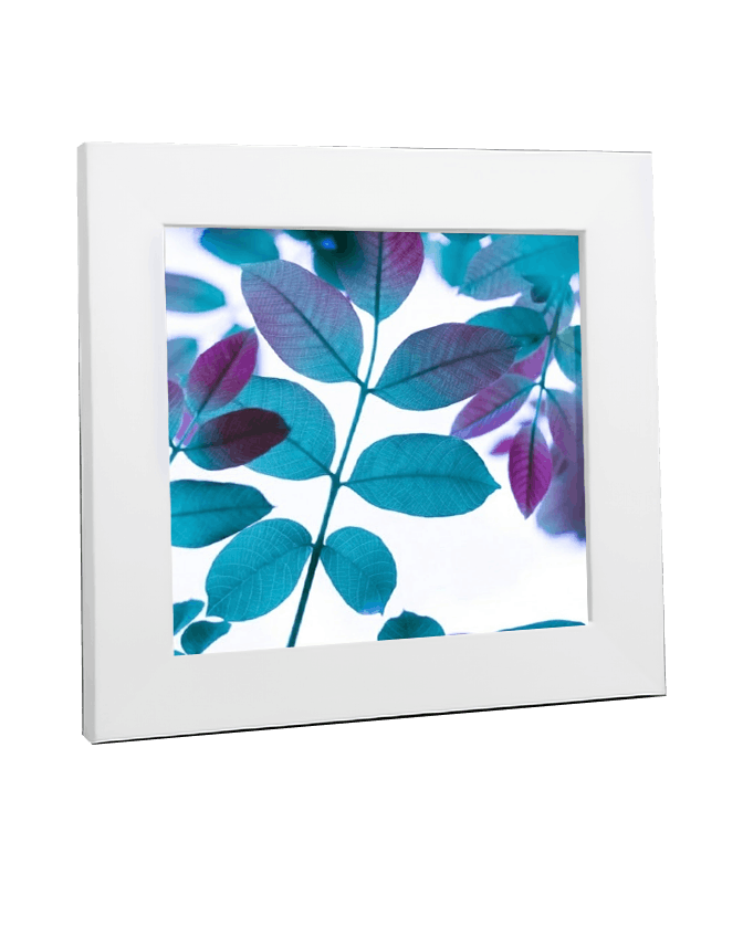 Lumivex Canopy - product
